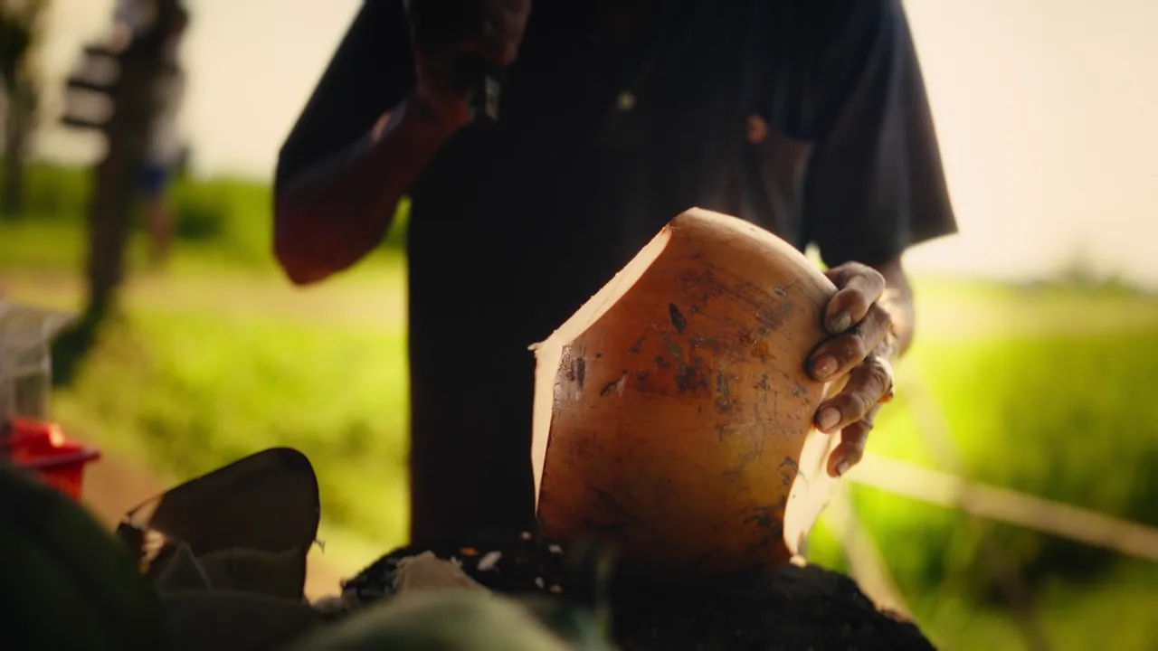Îles Banggai, Sulawesi — film de destination.