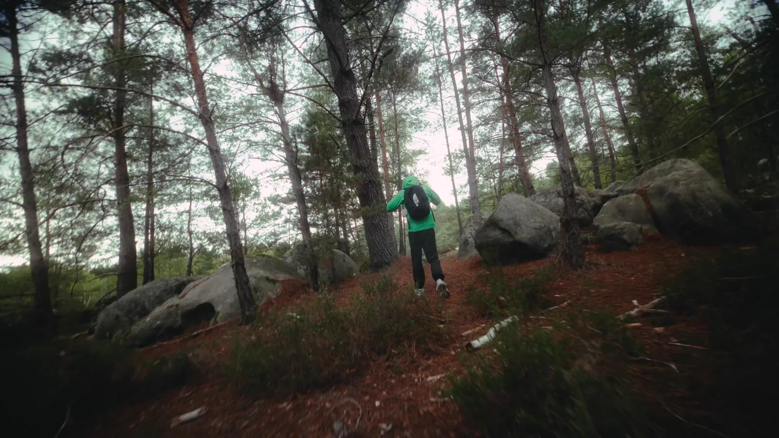 Clip Prières de Vé — silhouette en mouvement dans la forêt de Fontainebleau.